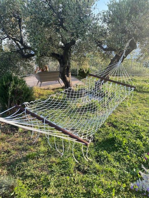 Casa Vista Mare - Superb Garden And Parking Included Villa Imperia Exteriör bild