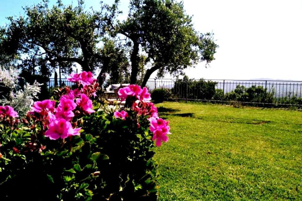 Casa Vista Mare - Superb Garden And Parking Included Villa Imperia Exteriör bild