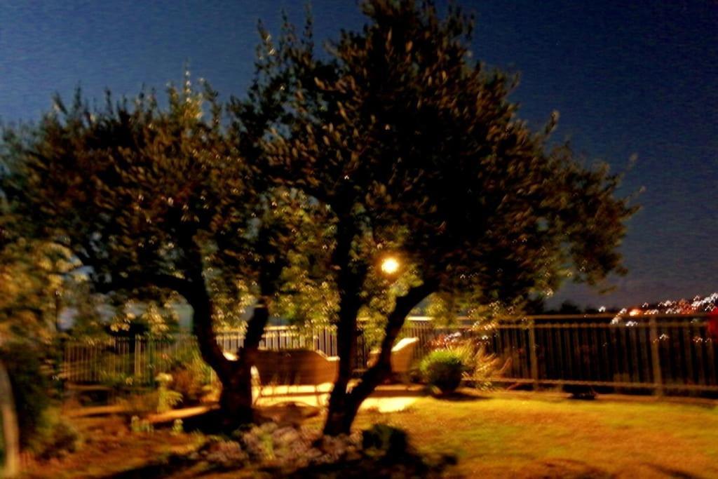 Casa Vista Mare - Superb Garden And Parking Included Villa Imperia Exteriör bild