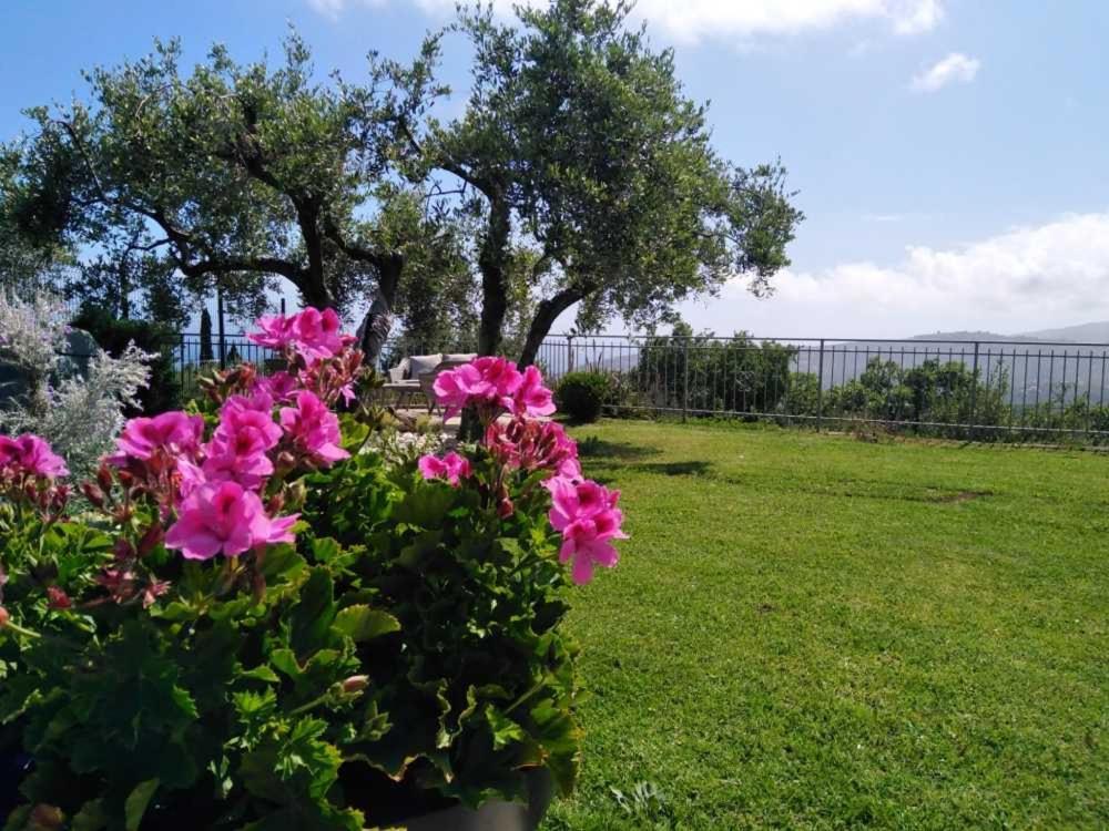 Casa Vista Mare - Superb Garden And Parking Included Villa Imperia Exteriör bild